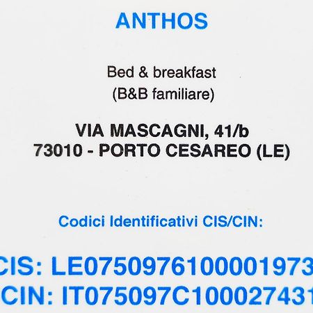 Bed Anthos Porto Cesareo Bed & Breakfast Exterior photo